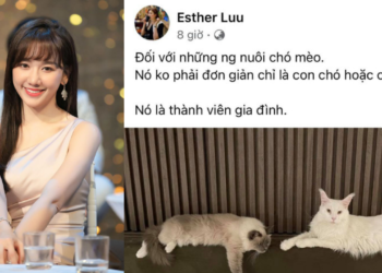 Lý do Hari Won bị cộng đồng mạng chỉ trích ?