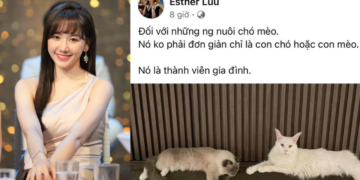 Lý do Hari Won bị cộng đồng mạng chỉ trích ?