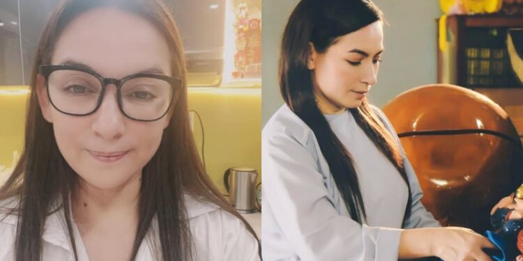 Tình trạng sức khoẻ hiện tại của Phi Nhung sau 3 tuần chữa trị Covid-19