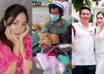 Vụ việc 15 chú chó bị tiêu huỷ: Nhiều sao Việt lên tiếng, vợ chồng Đoàn Di Băng chuyển ngay 50 triệu đồng