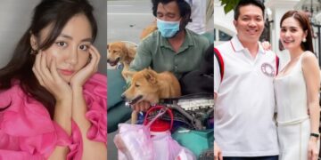 Vụ việc 15 chú chó bị tiêu huỷ: Nhiều sao Việt lên tiếng, vợ chồng Đoàn Di Băng chuyển ngay 50 triệu đồng