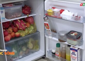 Câu chuyện cuộc sống: Đừng biến Tết thành nỗi lo