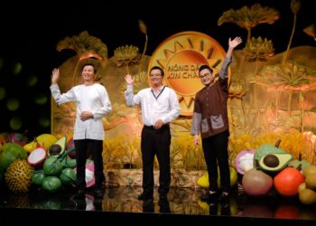 Doanh nhân trẻ quyết tâm nâng cao giá trị khoai lang