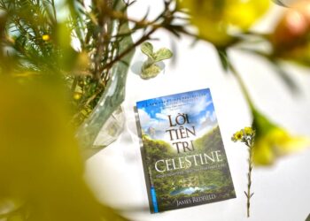 “Lời tiên tri Selestine” với hành trình tìm về với con người thật của mình