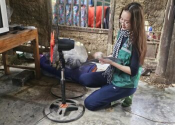 Hoa Hậu Bảo Ngọc góp sức dựng nhà, hỗ trợ khám bệnh cho bà con vùng lũ phía Bắc