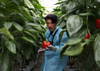 Biệt Đội Siêu Sao Tập 8: Tiến Luật dính chuỗi thua liên hoàn, Liên Bỉnh Phát “trả nghiệp” vì “cà khịa” đàn anh