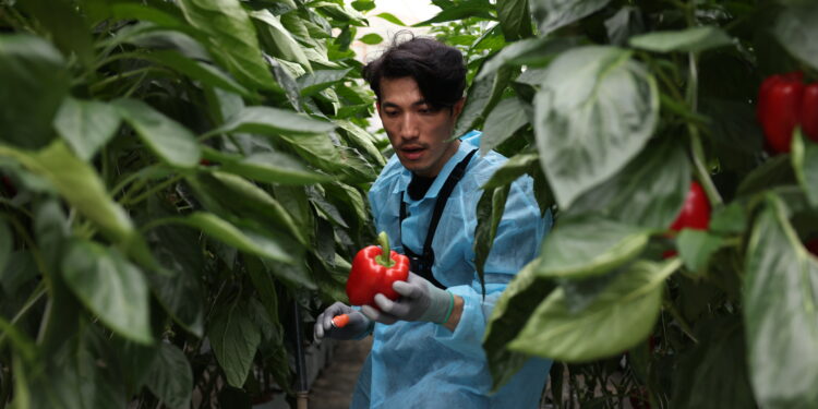 Biệt Đội Siêu Sao Tập 8: Tiến Luật dính chuỗi thua liên hoàn, Liên Bỉnh Phát “trả nghiệp” vì “cà khịa” đàn anh