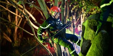 Liên Bỉnh Phát dừng chân tiếc nuối tại Chiến Sĩ Quả Cảm vì chấn thương nghiêm trọng