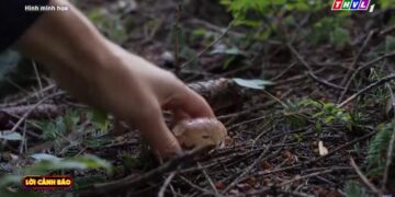 Nguy hại khi tùy tiện sử dụng bổ sung vitamin