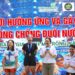  Quỹ Kiến Vàng kết nối cộng đồng vì trẻ em an toàn dưới nước qua giải bơi Vietcombank Gia Định mở rộng 2026